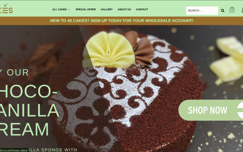 ecommerce store